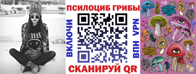 цена   Пудож  Псилоцибиновые грибы мицелий 